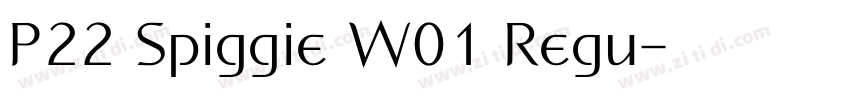 P22 Spiggie W01 Regu字体转换